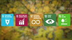 From SDGs to sustainability reports: How EcoTree's Nature-based Solutions contribute to five global goals