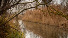 Wasser braucht die Landschaft!