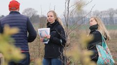 A tree for every new colleague: how Artelia Denmark makes sustainability tangible