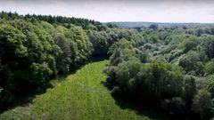 Schneider Electric Marathon de Paris : 5 000 arbres plantés par EcoTree grâce aux Green Runners