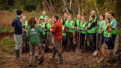 Restauration de biodiversité : l'argument RSE mesurable qui pèse dans les appels d'offres