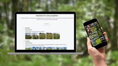 Your trees have stories to tell: Here are 5 ways to follow them