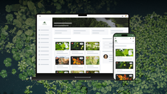 Rooted in progress: What’s new in your digital forest?