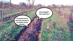 EcoTree avis négatifs : nous avons lu les commentaires jusqu'au bout