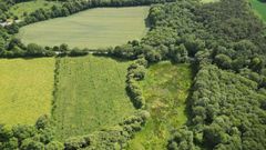 Mémoire technique environnemental : comment le construire pour se démarquer dans un appel d'offres ?