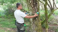 Forêt de Lacelle : 28 000 plants, un suivi à 3 mois, et des indicateurs prêts pour votre reporting