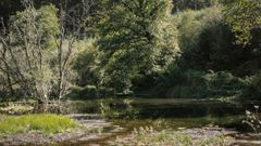 Eau et carbone : 5 leviers d'action pour l'agroalimentaire