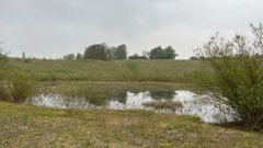 ecotree biodiversity project