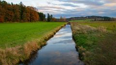 ecotree biodiversity project
