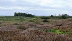 ecotree biodiversity project