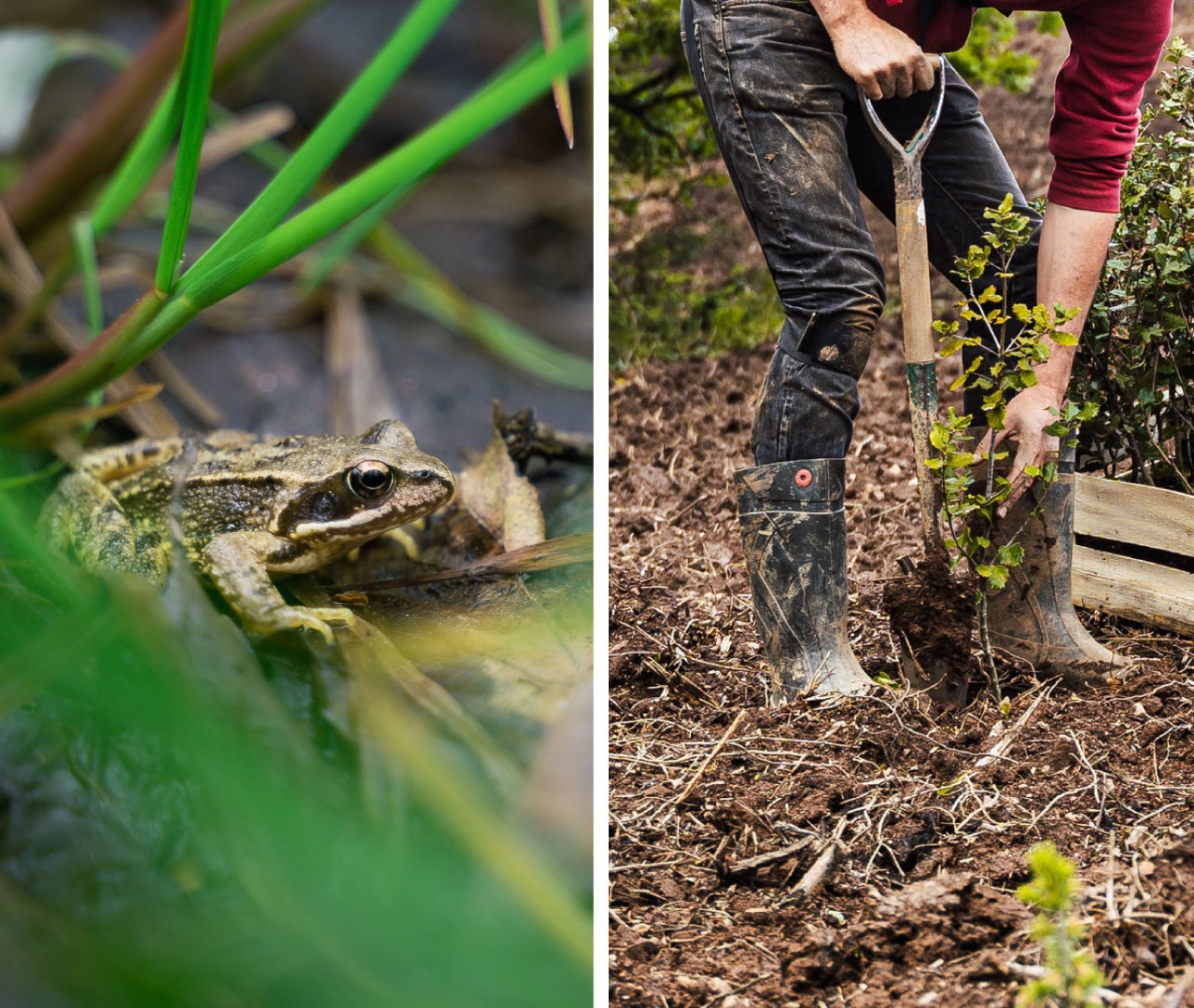 Pack Forêt et Biodiversité