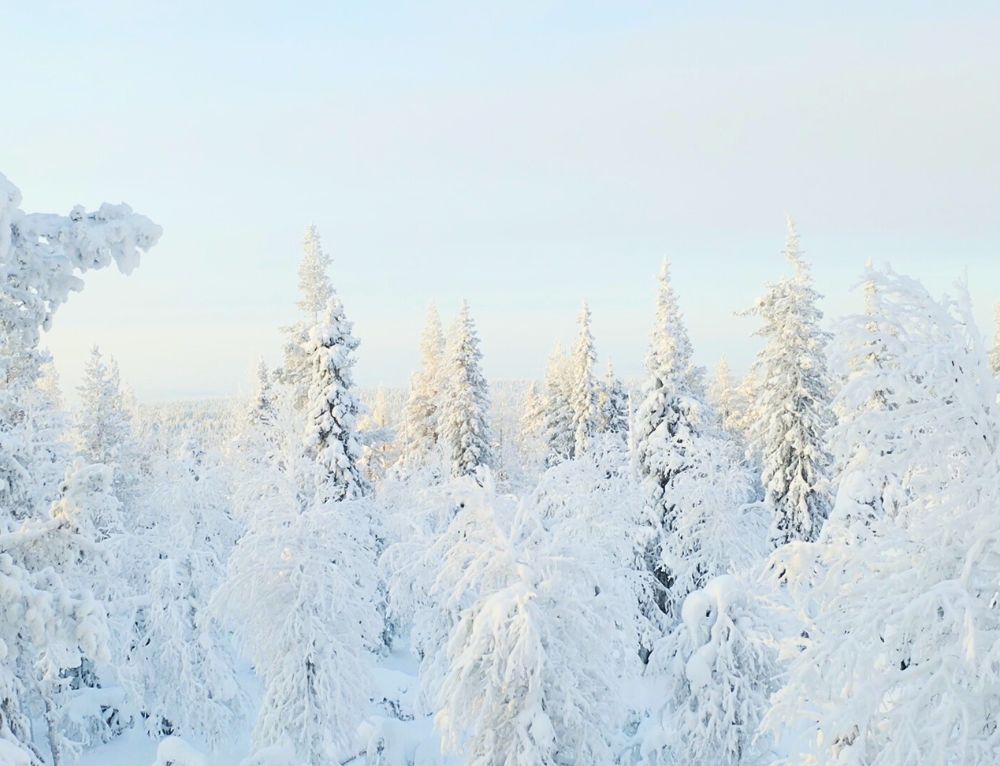 Pack de Noël exclusif